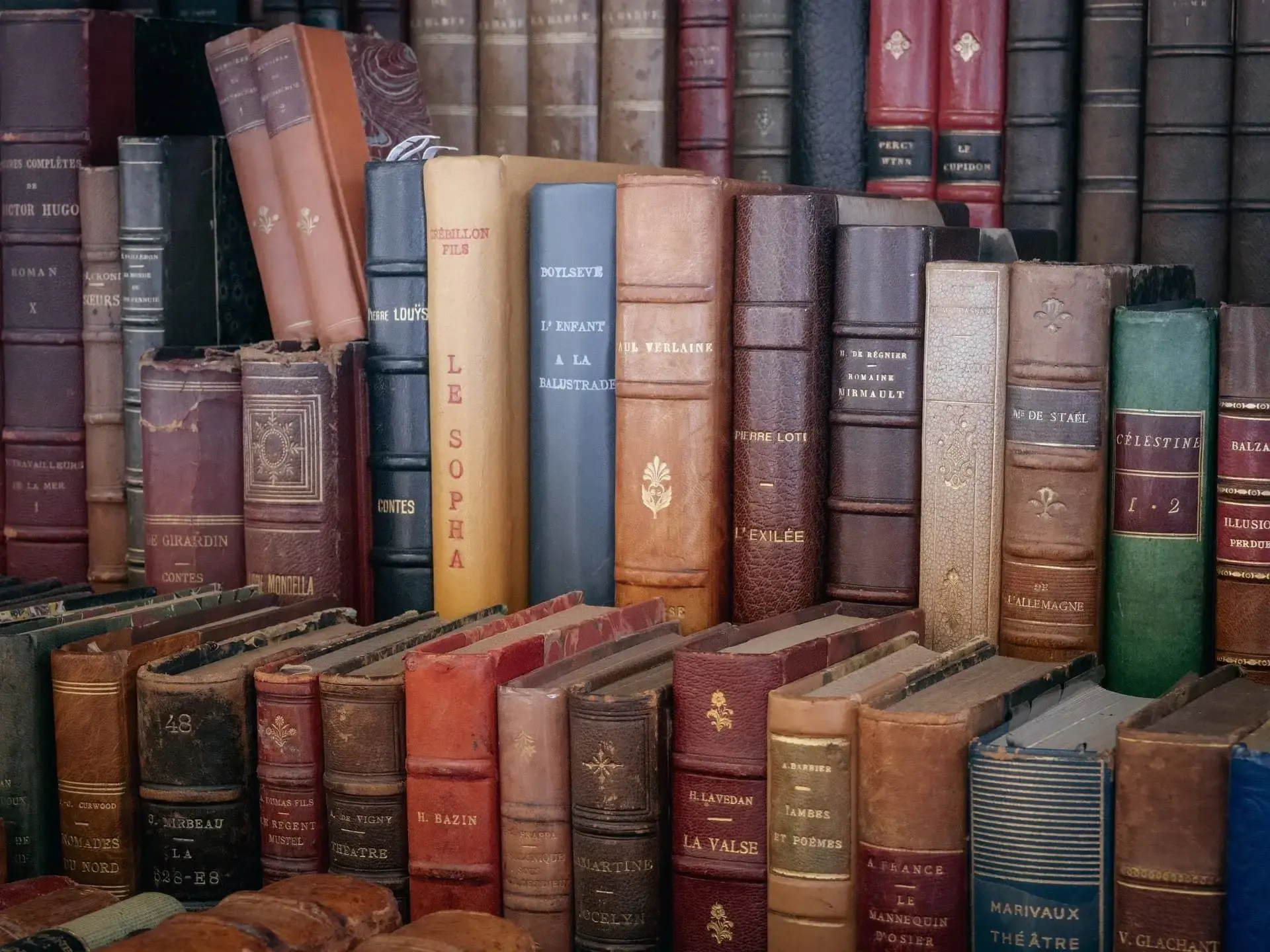 Collection of vintage books on shelves.